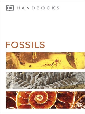 cover image of Fossils